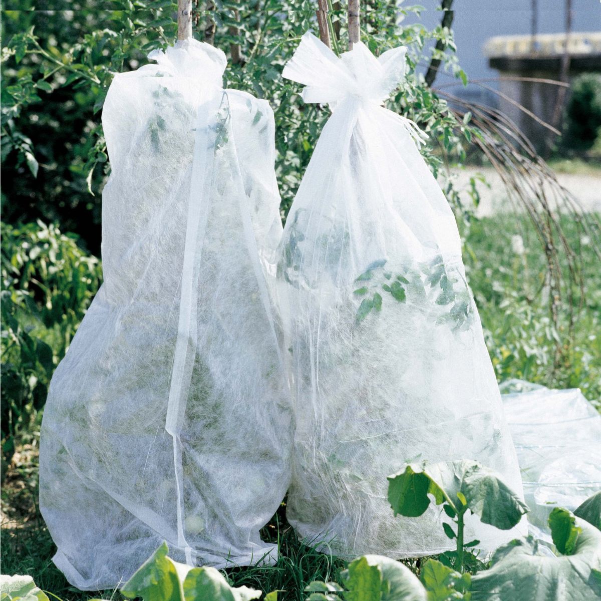 Telo di protezione per colture antigelo tubolare Verdemax 1,1 x 10 m