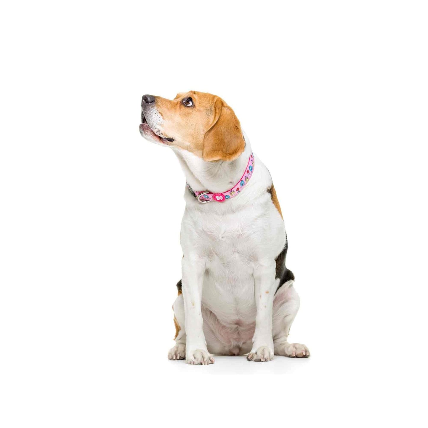 Collier pour chien PRINCESS Dukier XS