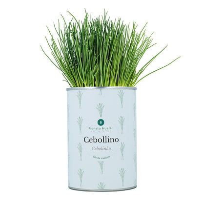 Aromatische kweeksets Kistpakket Planeta Huerto