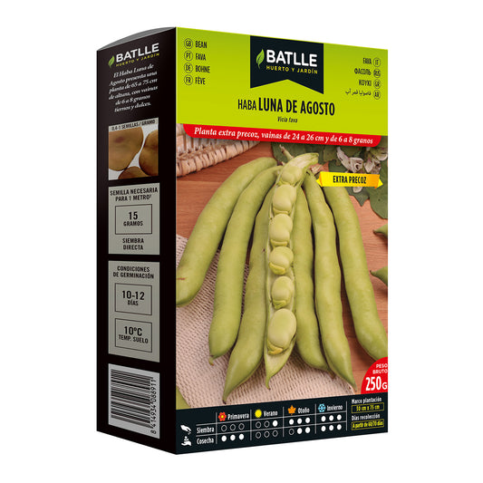 Semi di fava extra precoce Luna de agosto 250 g Batlle