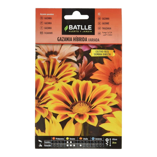 Graines de Gazania hybride variées Batlle