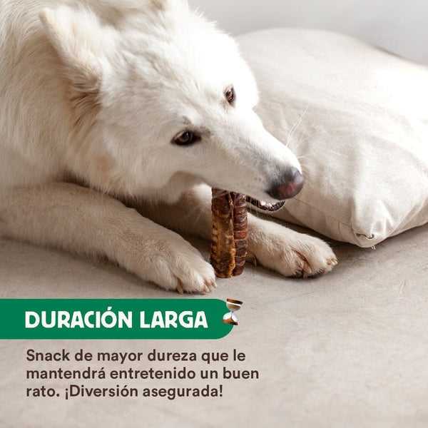 Naturalna gryzaka z tchawicą cielęcą Wild Balance 100 g