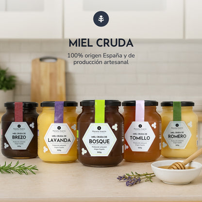 Pack 6x Miel Cruda de Montaña Planeta Huerto 500 g