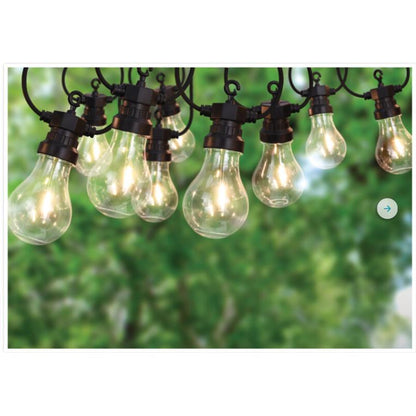 LED garland with 10 white bulbs