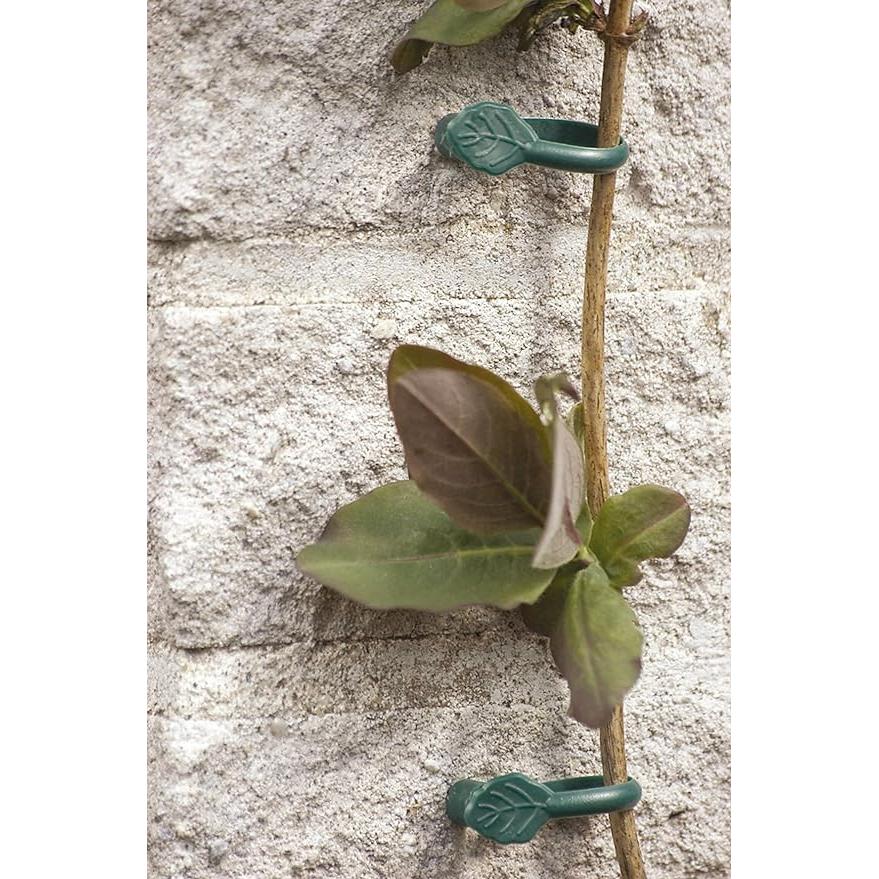 Klem voor klimplanten met spijker Biotop 8 stuks