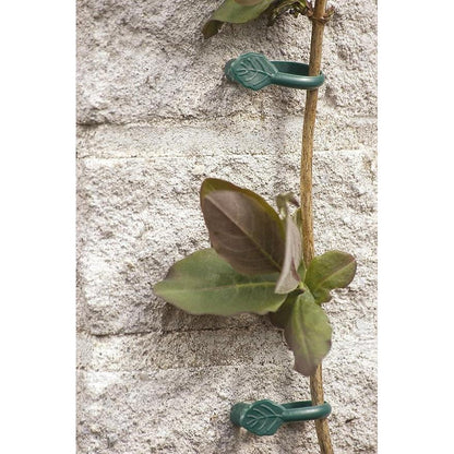 Klem voor klimplanten met spijker Biotop 8 stuks