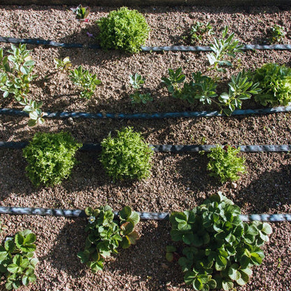 Rouleau d'exsudation de Garden Planeta Huerto 50 m