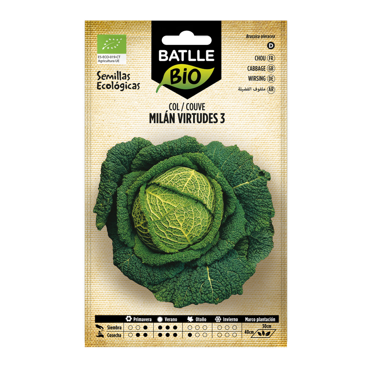 Bio-Kohlsamen Milan Virtudes 3 Batlle