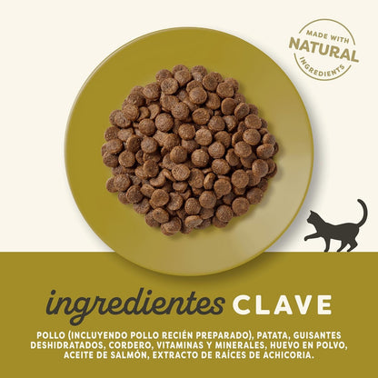 Applaws Cat Dry Kurczak i jagnięcina 2 kg Naturalna karma dla kotów bez zbóż