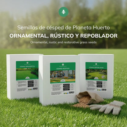 Semi di erba ripopolante Planeta Huerto 1 kg