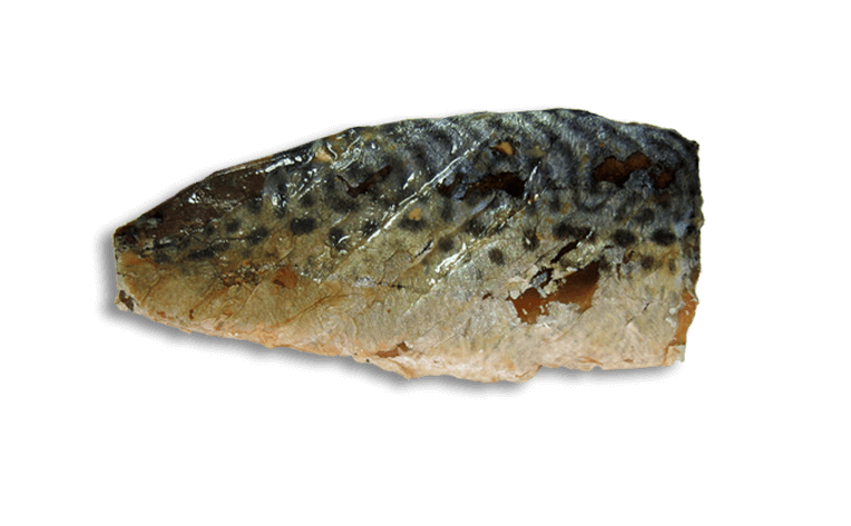 Kit Cat FilletFresh – grillowana makrela 30 g Naturalna przekąska dla kotów