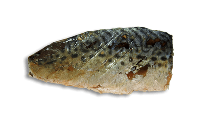 Kit Cat FilletFresh – grillowana makrela 30 g Naturalna przekąska dla kotów