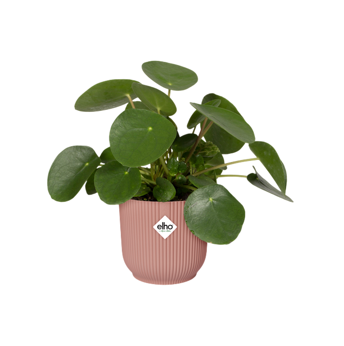 Pot de fleur Vibes Fold Round Delicate Pink Elho 18 cm