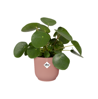 Doniczka Vibes Fold Round Delicate Pink Elho 25 cm