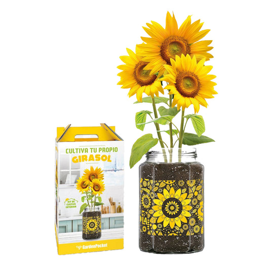 Kit de culture « Plantez votre propre tournesol », Garden Pocket