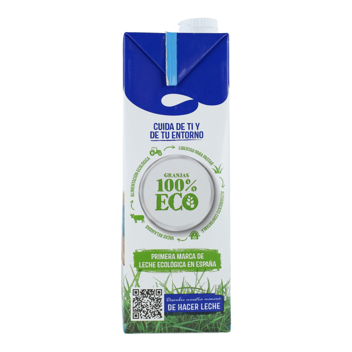 Lot de 6 bouteilles de lait entier bio Puleva, 1 L