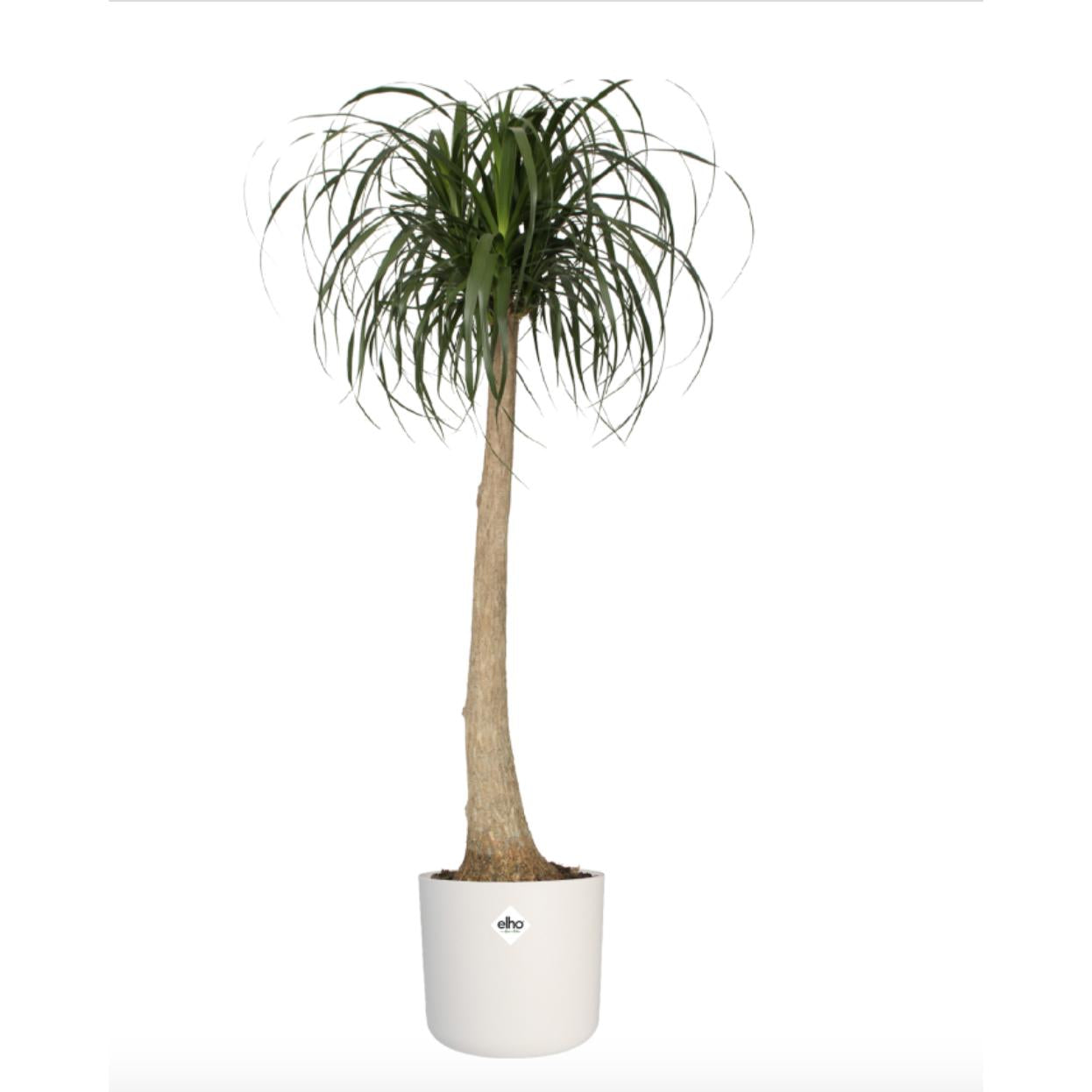 Blumentopf B.for Soft Round Elho Weiß 22 cm