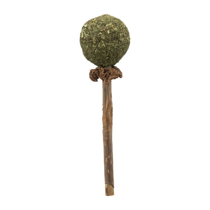 Matatabi-lollipop, Trixie 11 cm