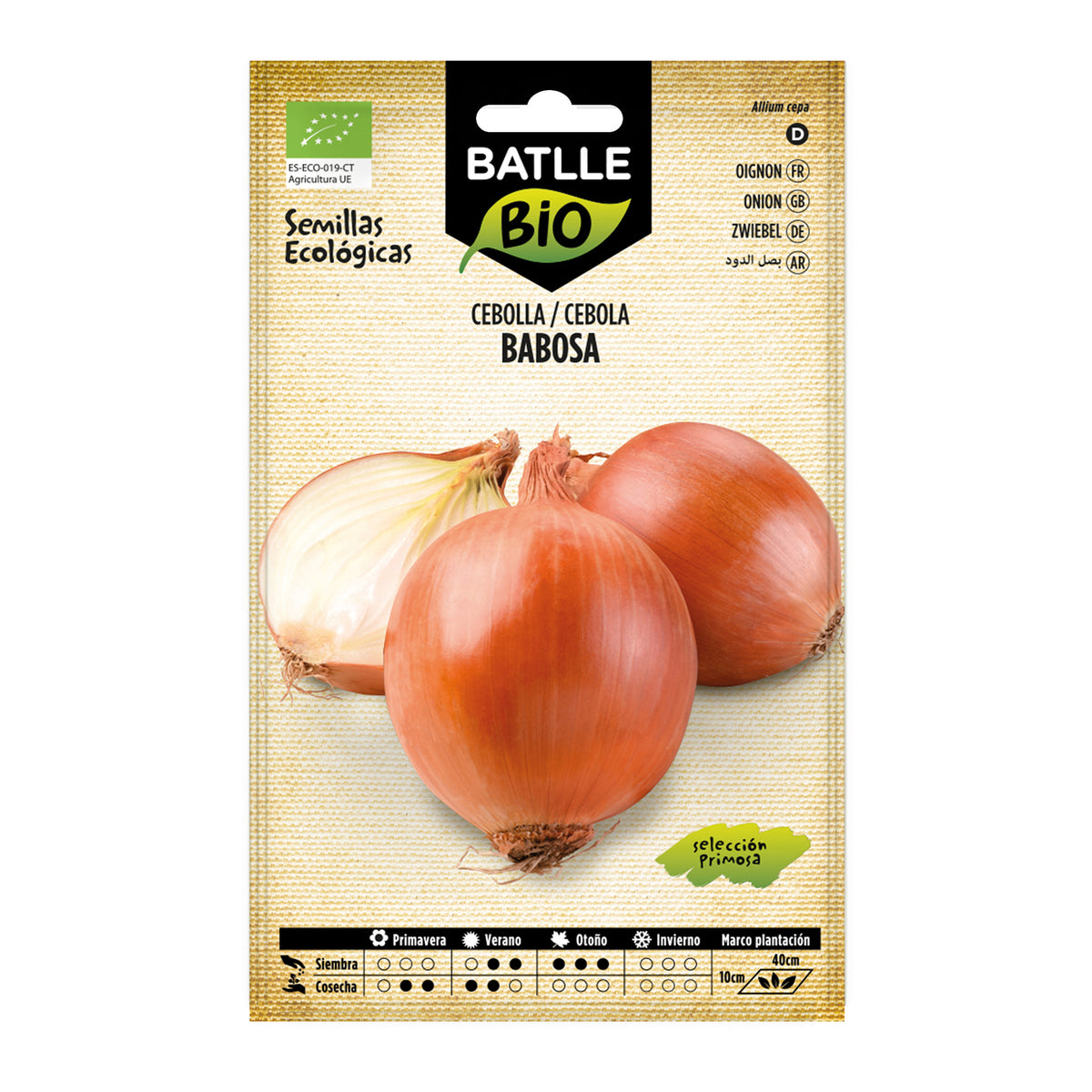 Graines d'oignon Babosa sélectionnées primosa écologiques Batlle