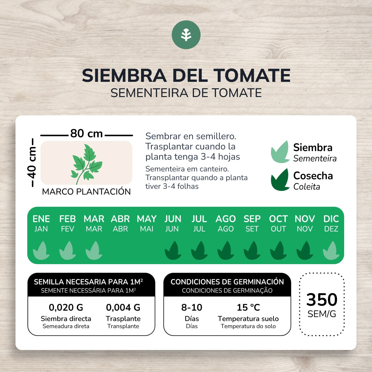 Semences biologiques de Tomate rose géante tres cantos Planeta Huerto