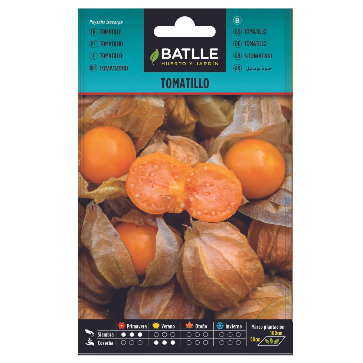 Tomatillo-Samen – Physalis ixocarpa Batlle