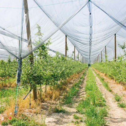 Hagelschutznetz Verdemax 2 x 20 m