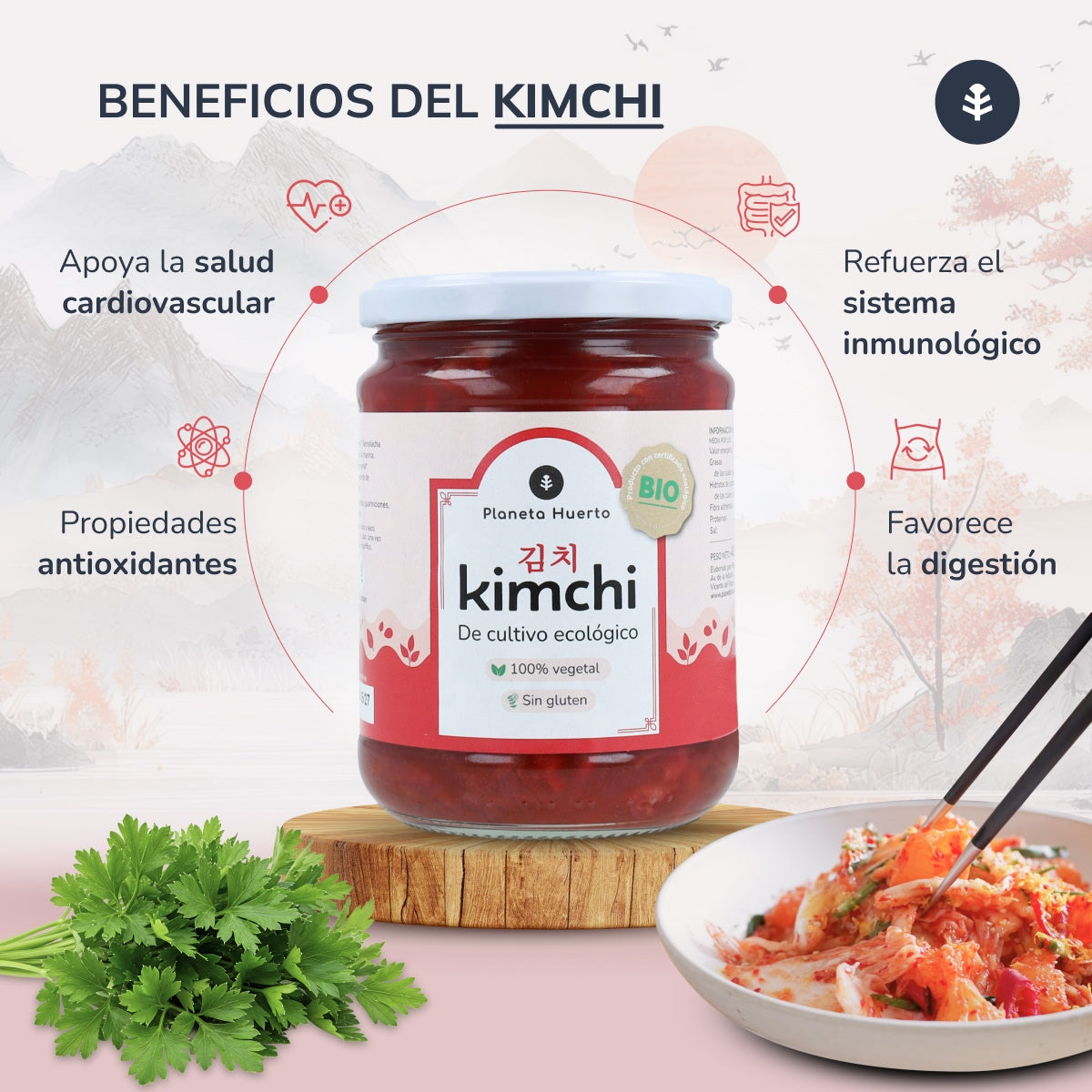 Kimchi ECO Planeta Huerto 420 g