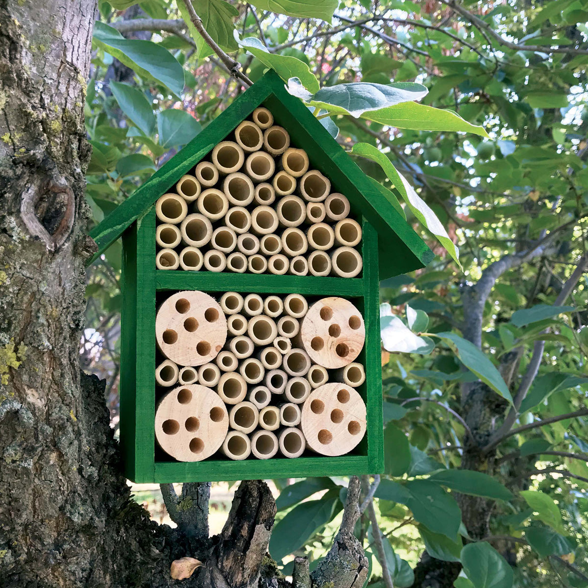 Insektenhotel Bambus Verdemax