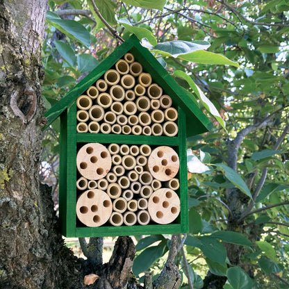 Insektenhotel Bambus Verdemax