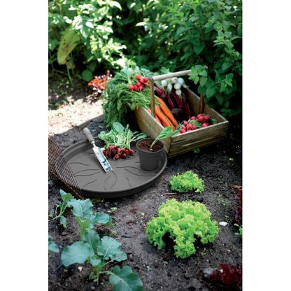 Teller Green Basics Elho Anthrazit 22 cm