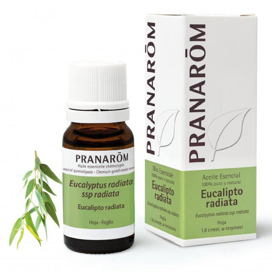Pranarôm Organic Eucalyptus Radiata Essential Oil 10 ml