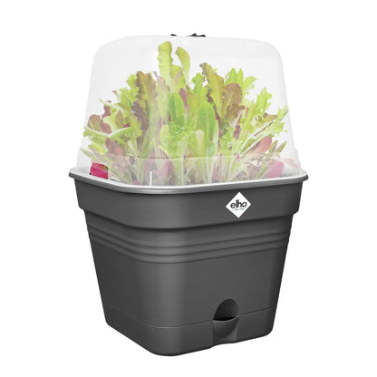 Odlingskruka ALLIN1 Green Basics Elho Antracit 15 cm