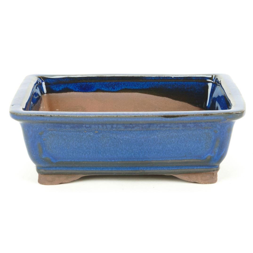 Pot à bonsaï rectangulaire bleu basic Class 20 cm