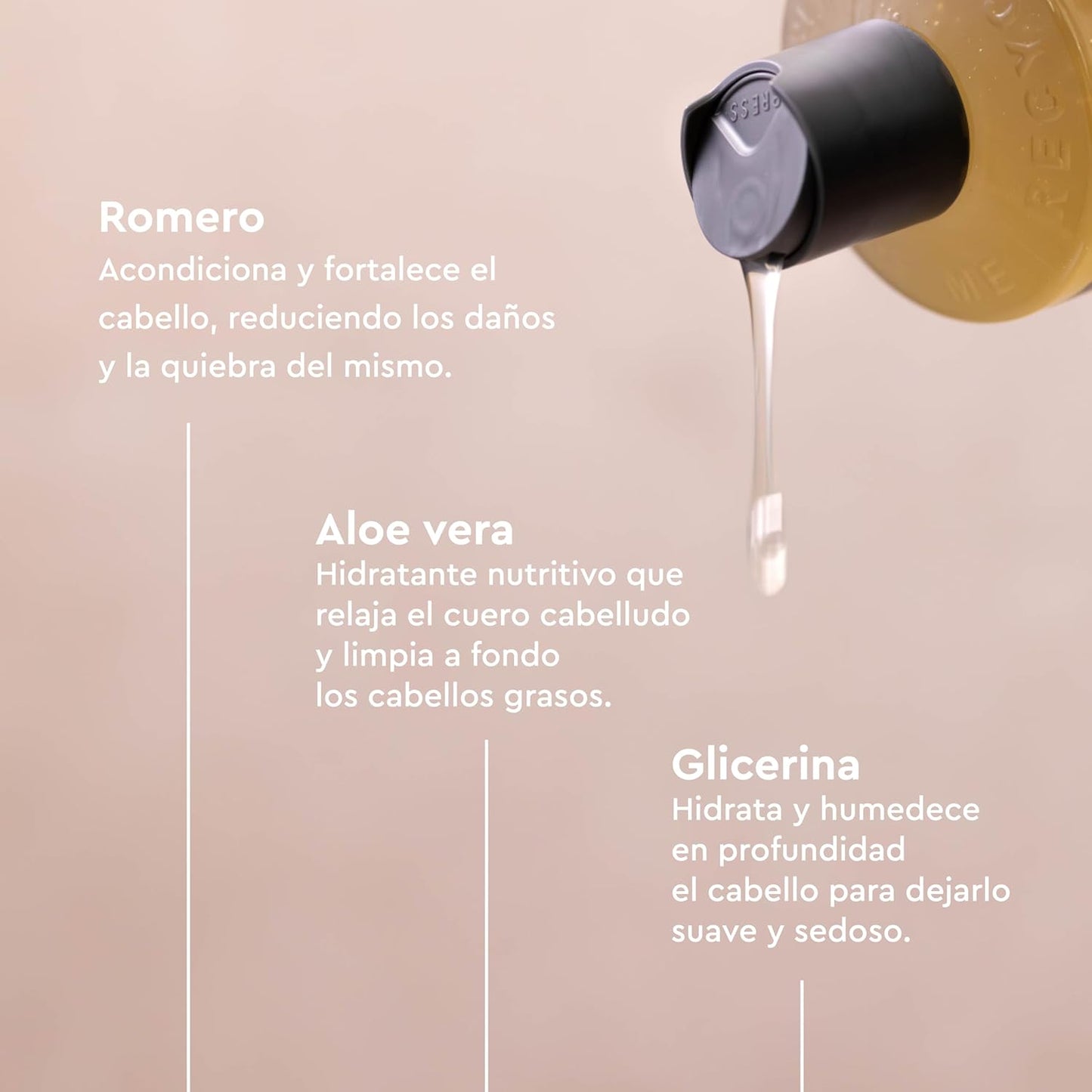 Confezione da 2 shampoo al rosmarino per capelli fini Urtekram 500 ml