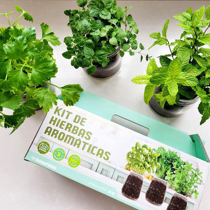 Zestaw do sadzenia TOP Aromatyczne zioła w Twojej kuchni: bazylia, pietruszka i mięta, Garden Pocket