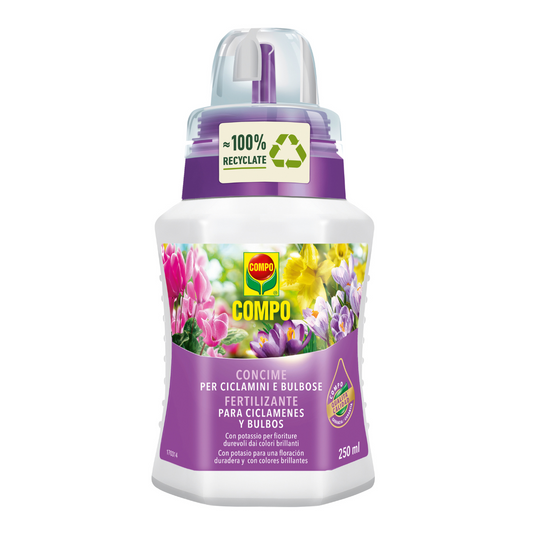 Compo Cyclamen and Bulb Fertiliser 250 ml