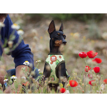 Harnais réversible pour chien AVOCADO Dukier S
