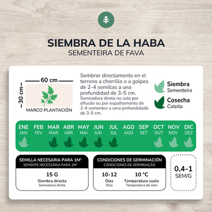 Ekologiska bönfrön Aguadulce Planeta Huerto