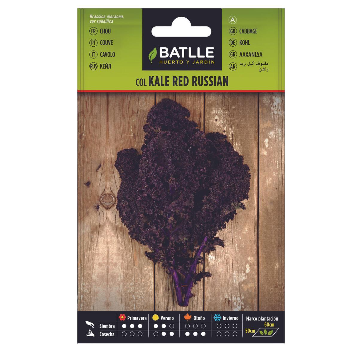 Kålfrön Kale Red Russian Batlle