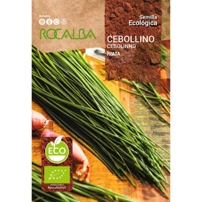 Graines de ciboulette Praga bio Rocalba