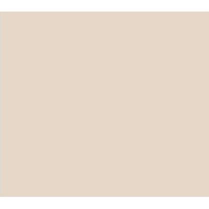 CHALK PAINT CP-38 NUDE 175