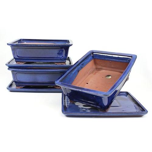 Rectangular bonsai pot 25 cm with blue saucer