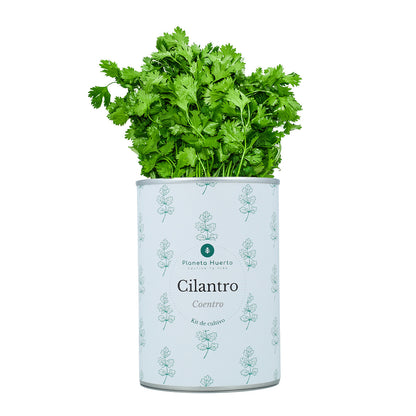 Aromatische kweeksets Kistpakket Planeta Huerto