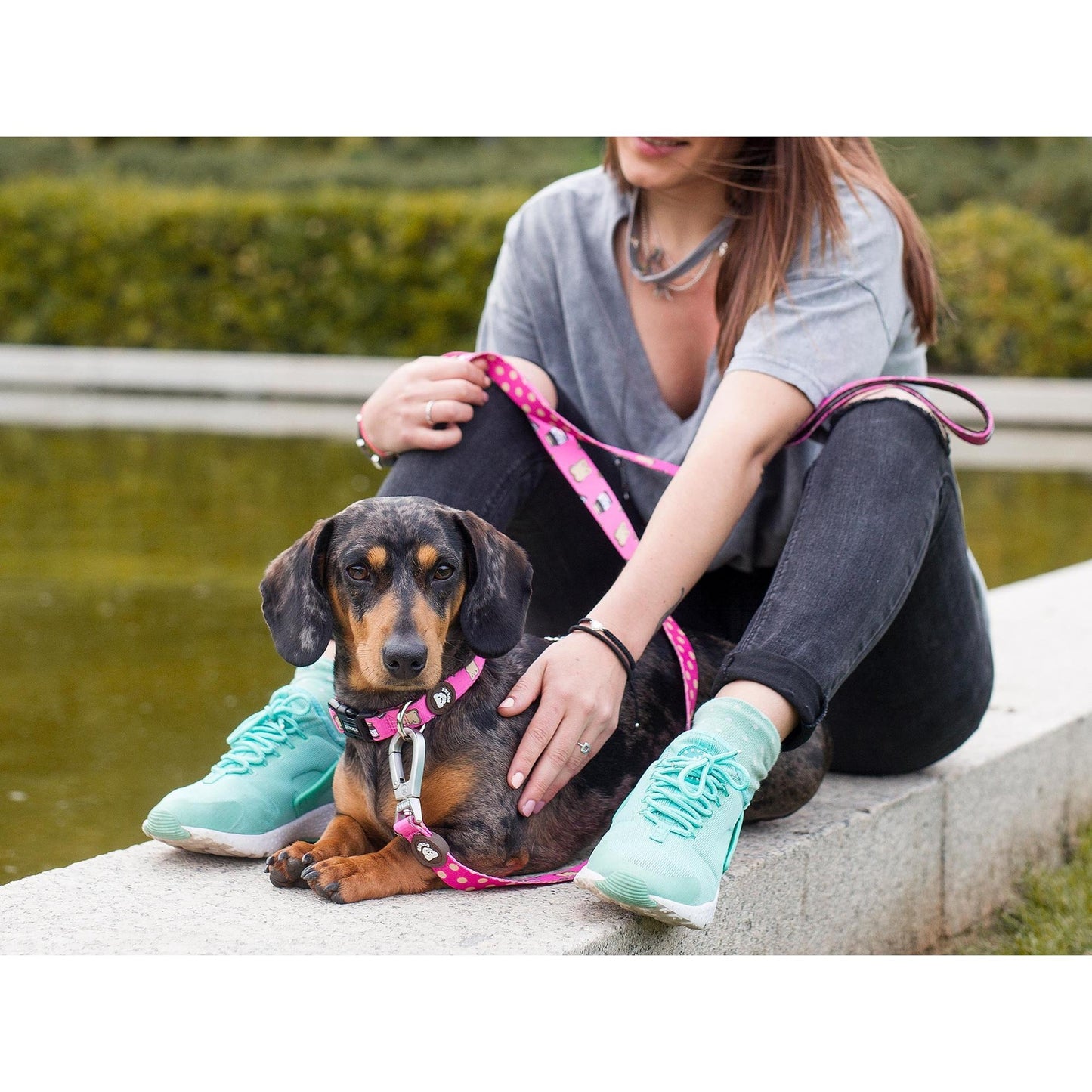 Hondenhalsband DOGTELLA Dukier M