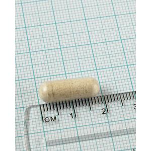 Matsmältningsenzymer Lamberts 100 kapslar