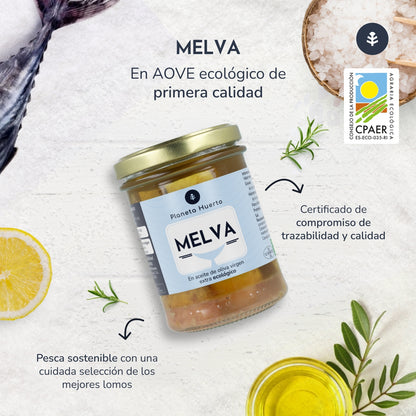 Zestaw 12x Melva w oliwie z oliwek extra virgin ECO Planeta Huerto 190 g