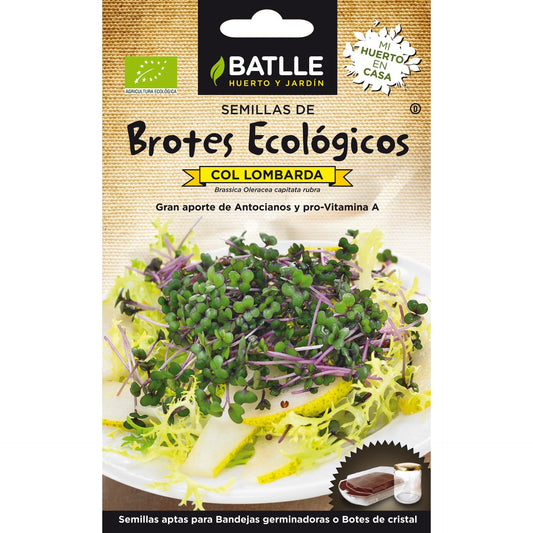 Organic red cabbage seeds for sprouts Batlle