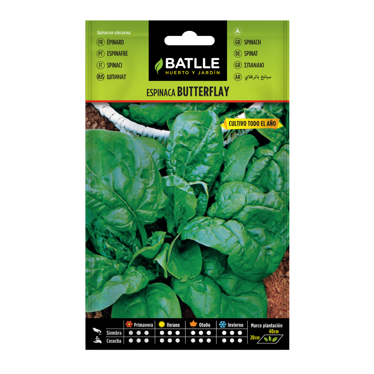 Butterfly Batlle Spinach Seeds