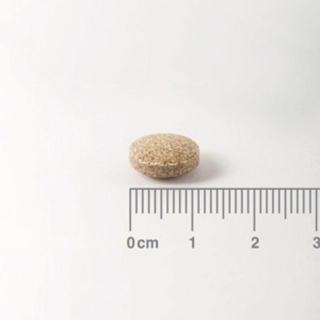 Ginkgo Biloba 6 000 mg, Lamberts 180 tabletter