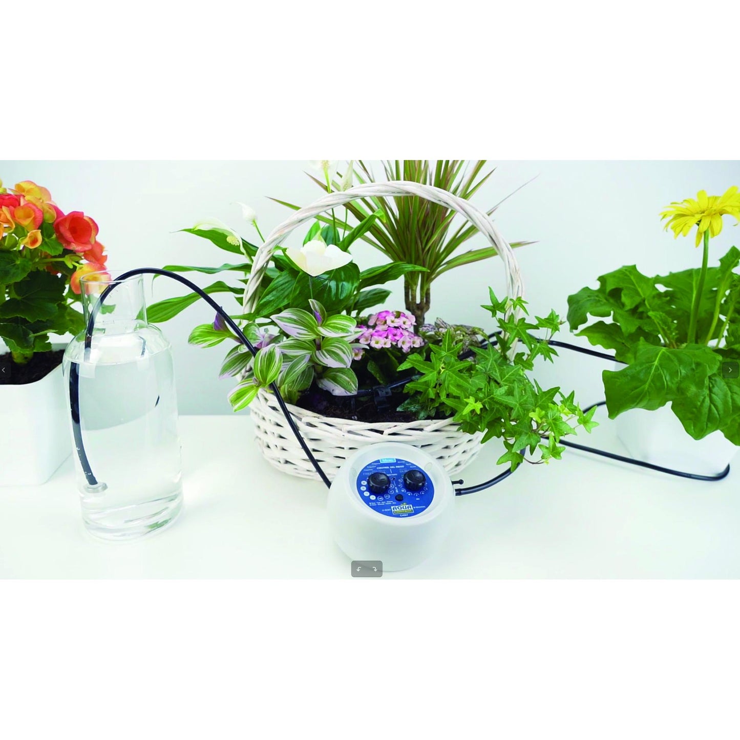 Urlaubsbewässerungsset mit programmierbarer Pumpe Aqua Control